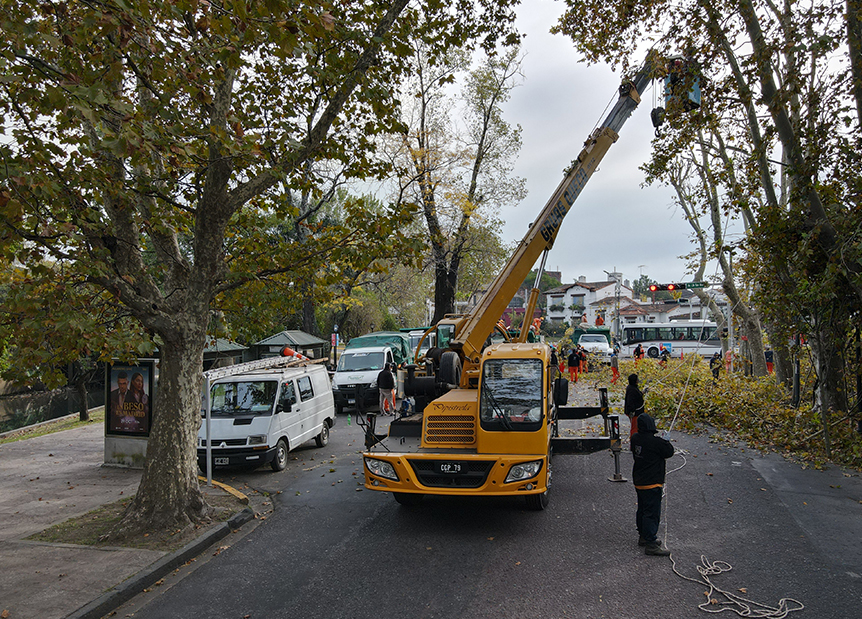 GRUA 12 Ton. QY12