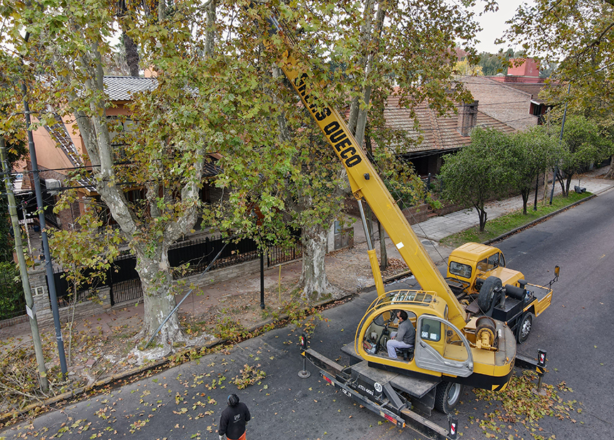 GRUA 12 Ton. QY12